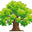 Valley View Pecan Company, Shawnee, OK logo