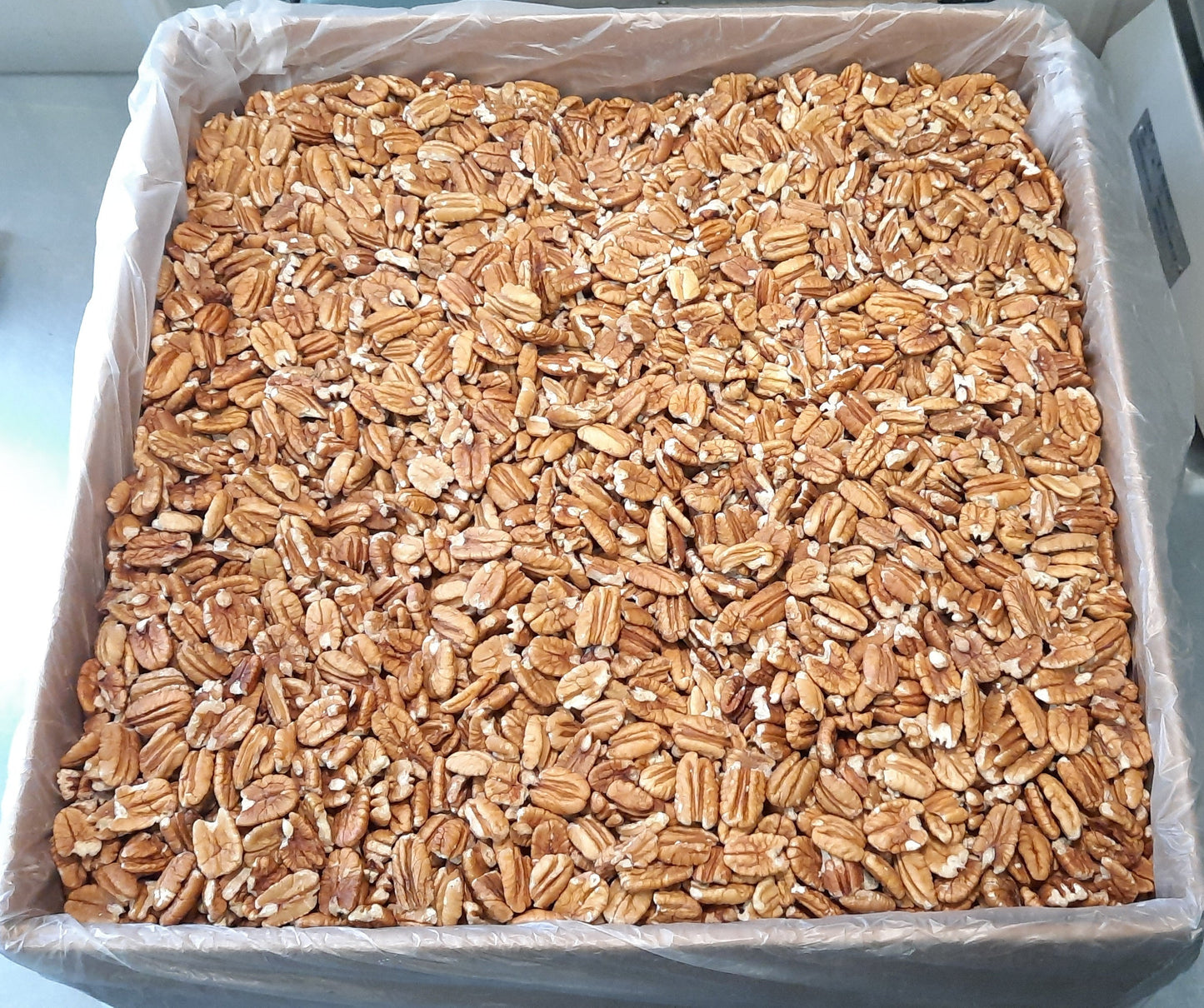 STATE FAIR SPECIAL - 30lb Bulk Case 2024 Native Pecan Halves