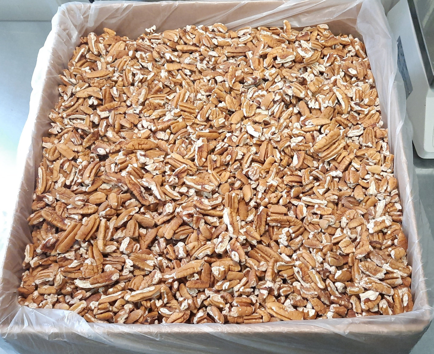 STATE FAIR SPECIAL - 30lb Bulk 2024 Papershell Pieces